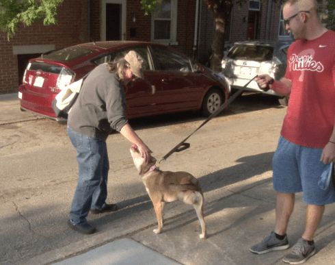 Screenshot 2016-06-04 01.13.47.png