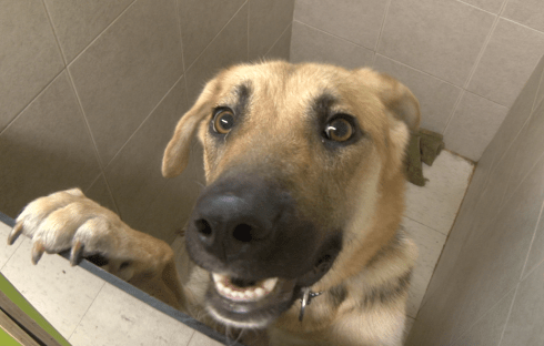 Screenshot 2016-06-04 01.35.02.png